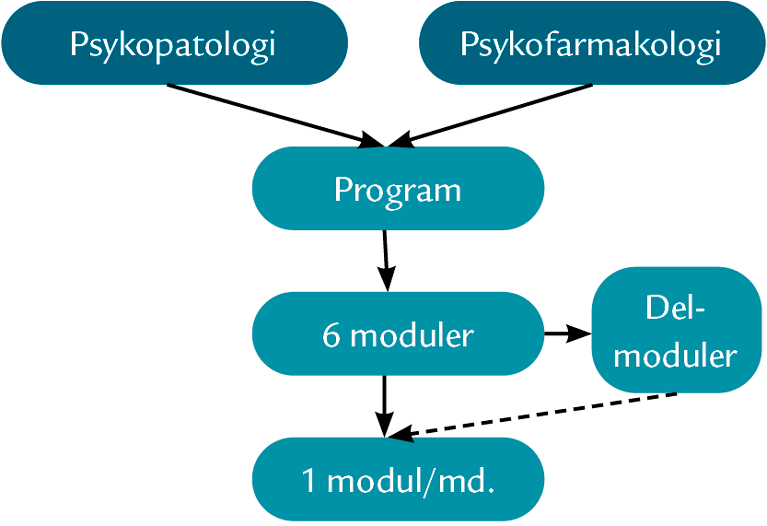 Overblik over COOP-PSYK's indhold. Diagram: Psykosepatalogi, Psykofarmakologi, program, 6 moduler, delmoduler, 1 modul om måneden