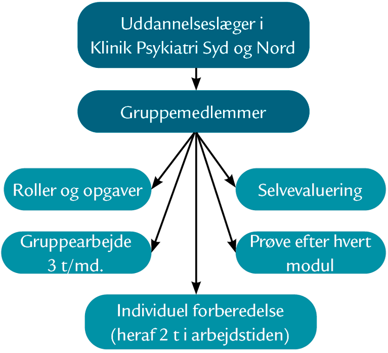 Overblik over COOP-PSYK's opbygning. Diagram: Uddannelseslæsger i Klinik Psykiatri- Syd og Nord, gruppmedlemmer, roller og opgaver, gruppearbejde 3 timer/måned, selvevaluering, prøve efter hvert modul, individuel forberedelse (heraf 2 timer i arbejdstiden.