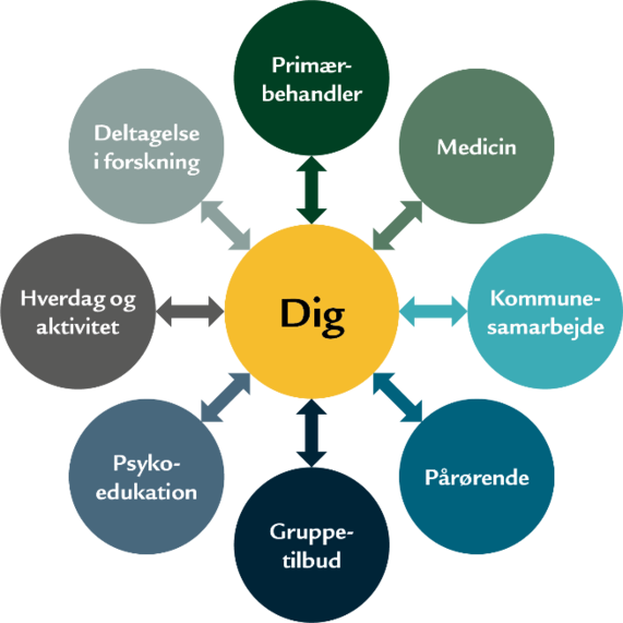 Boble i midten hvor der står dig omgivet af bobler hvor der står: Primærbehandler, medicin, kommunesamarbejde, pårørende, gruppetilbud, psyko-edukation, deltagelse i forskning og hverdag og aktivitet.